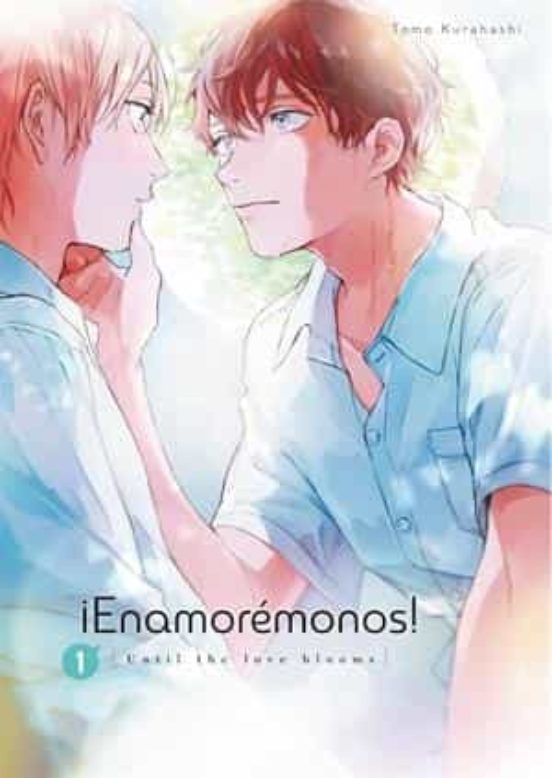 Manga 01 Enamoremonos -Tomo kurahashi - SD