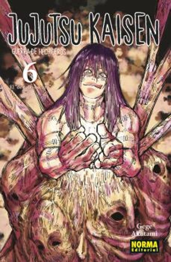 Manga 06 Jujutsu Kaisen - Gege Akutami - NE