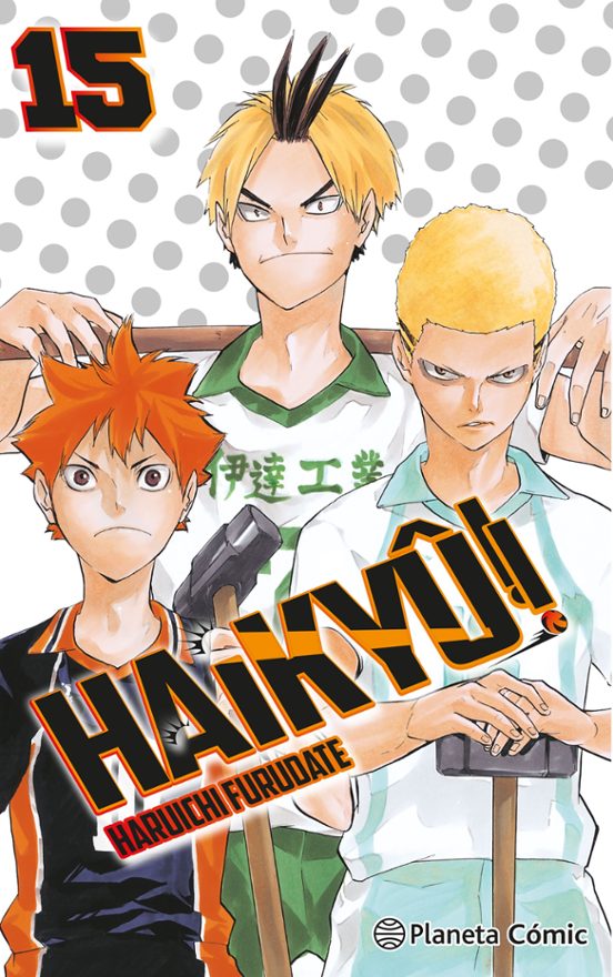 Manga 15 Haikyu - Haruichi Furudate - PC