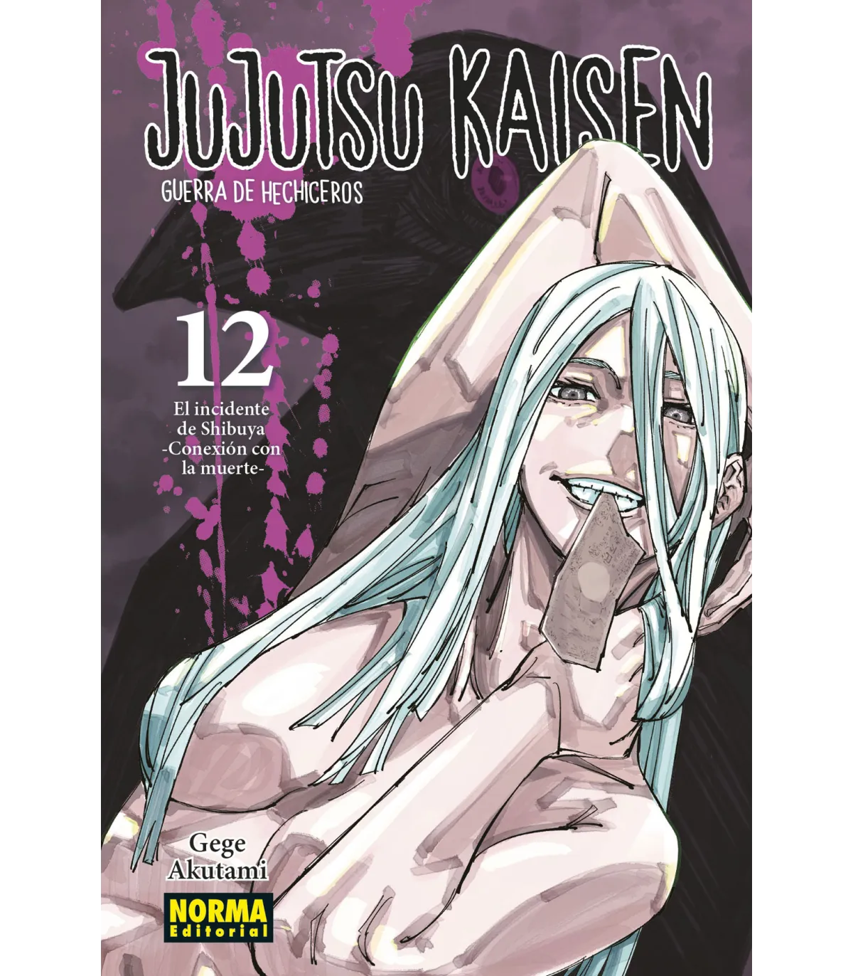 Manga 12 Jujutsu Kaisen - Gege Akutami - NE