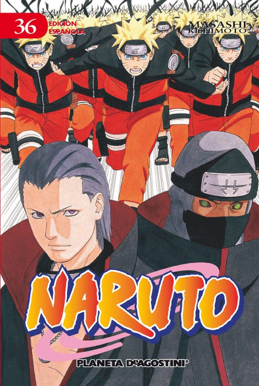 Manga 36 Naruto - PC