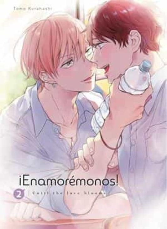 Manga 02 Enamorémonos - Tomo Kurahashi - SD