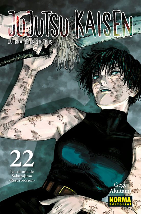 Manga 22 Jujutsu Kaisen - Gege Akutami - NE