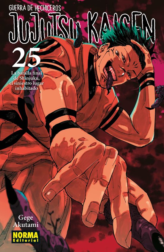 Manga 25 Jujutsu Kaisen - Gege Akutami - NE