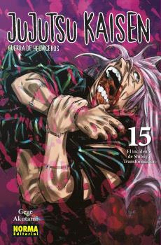 Manga 15 Jujutsu Kaisen - Gege Akutami - NE