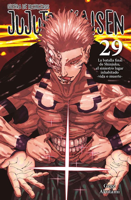 Manga 29 Jujutsu Kaisen - Gege Akutami - NE
