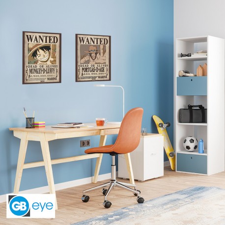 Pack Posters Lyffy & Ace - One Piece - ABYstyle